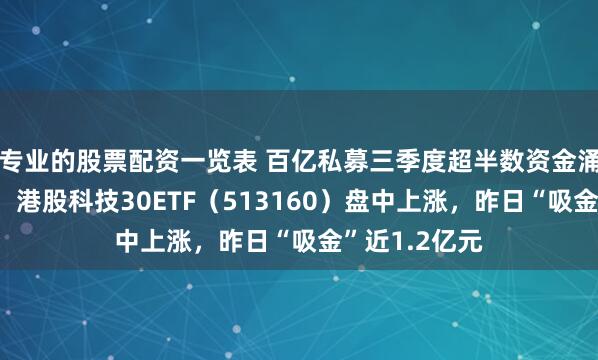 专业的股票配资一览表 百亿私募三季度超半数资金涌入科技赛道，港股科技30ETF（513160）盘中上涨，昨日“吸金”近1.2亿元